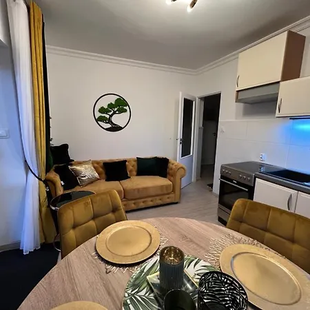 Comfort Zone B * 오스트로다